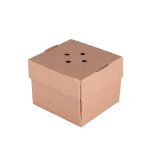 Ventilated Burger Boxes - Maintain the Perfect Crunch Large Plain