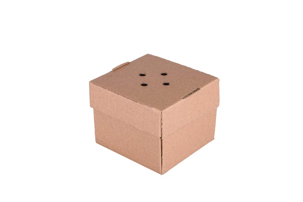 Ventilated Burger Boxes - Maintain the Perfect Crunch Large Plain
