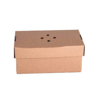 Ventilated Burger Boxes - Maintain the Perfect Crunch Large Plain