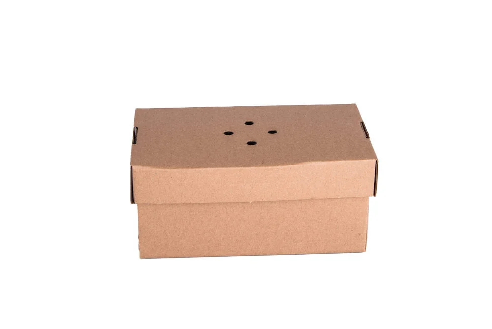 Ventilated Burger Boxes - Maintain the Perfect Crunch Large Plain