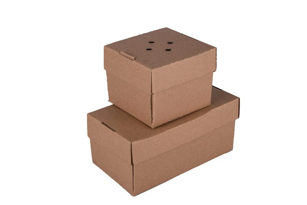 Ventilated Burger Boxes - Maintain the Perfect Crunch Large Plain