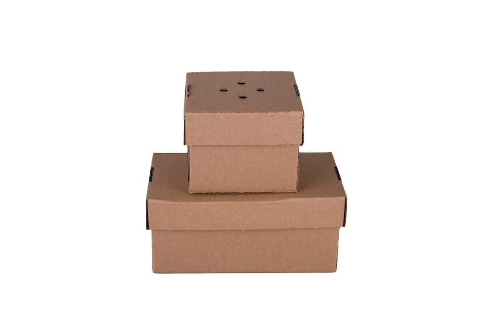 Ventilated Burger Boxes - Maintain the Perfect Crunch Large Plain
