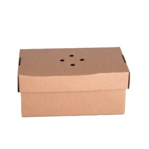 Ventilated Burger Boxes - Maintain the Perfect Crunch Large Plain