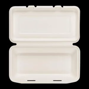 Bagasse Clamshell Box 9x6 Inch - Pack of 250